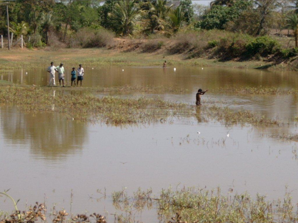 A man fishing by a lake
